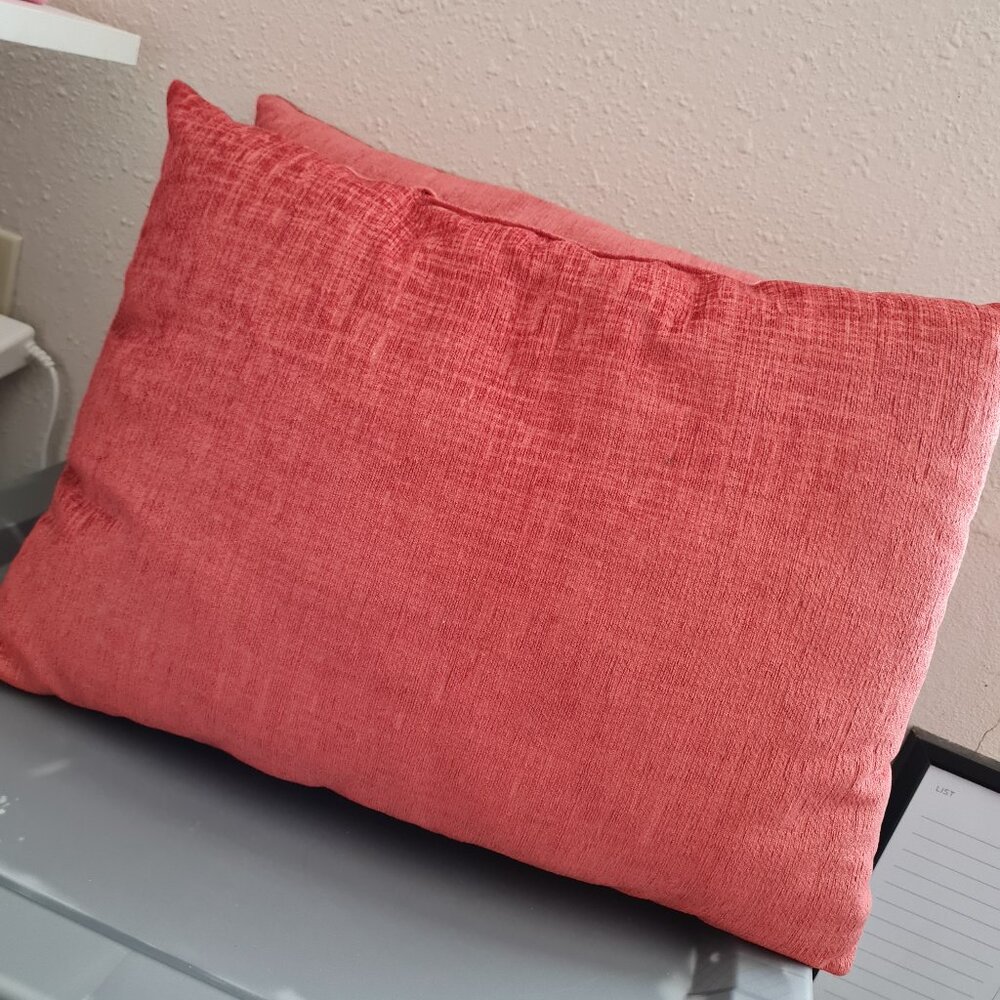 Accent pillow x2